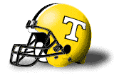 Towson helmet