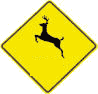 Deer Crossing